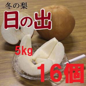 【送料込み】冬の梨”日の出” 5kg入数16玉 中玉 長野県みなみ信州まつかわ町産地直送 梨 南水 にっこり梨 新興梨 p1
