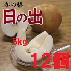【送料込み】冬の梨”日の出” 糖度14度以上 5kg入数12玉 大玉 長野県みなみ信州まつかわ町産地直送 梨 南水 にっこり梨 新興梨 p1