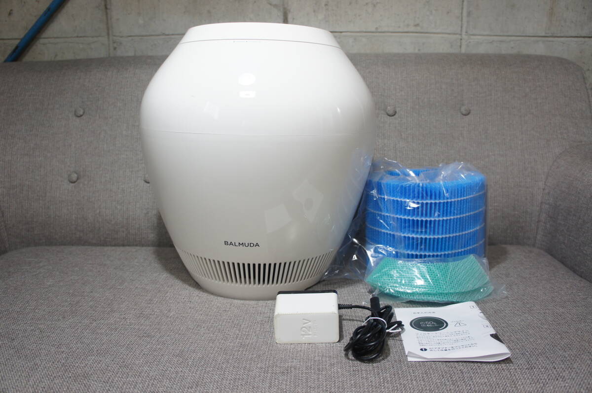 バルミューダ Rain ERN-1100UA オークション比較 - 価格.com