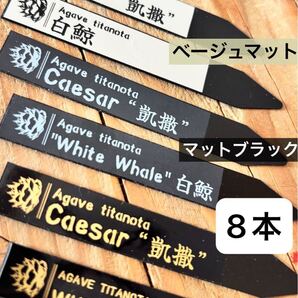 8本 プランツタグ 園芸ラベル アガベ チタノタ ハデス オアハカ 姫厳竜 白鯨 グラキリス