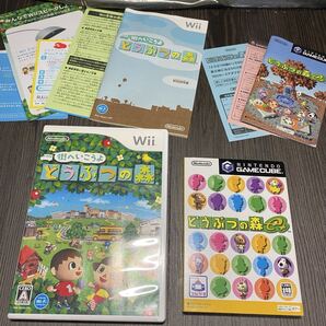 街へいこうよどうぶつの森 どうぶつの森e wiiu wiiでも遊べます