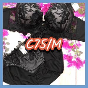 C75048-P C75/M【新品 インナー レディース ブラ・ショーツセット C75カップ Mサイズ ブラック】