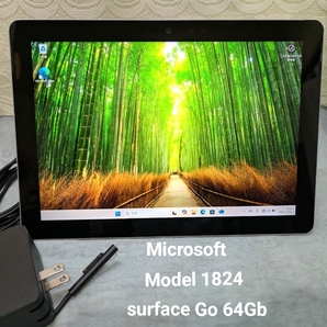 Microsoft Surface Go 64GB Model1824タブレット
