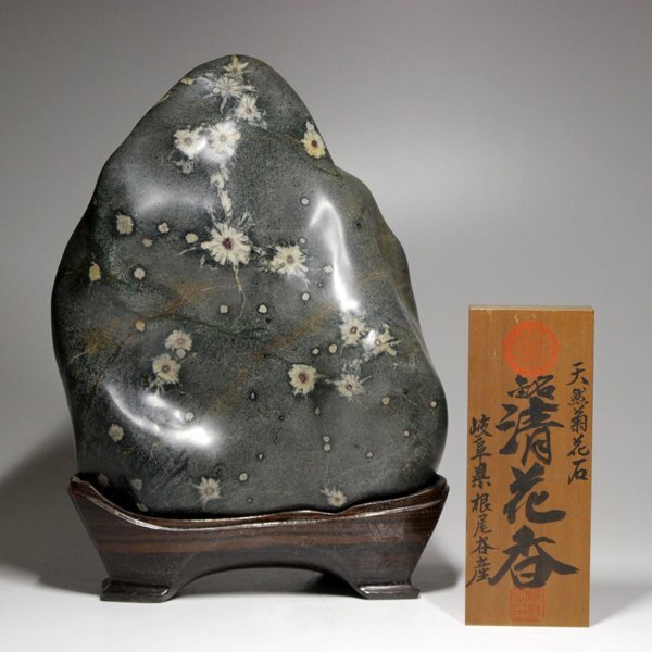 菊花石の値段と価格推移は？｜133件の売買データから菊花石の価値が