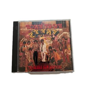 THE BUBBLE GUM BROTHERS BORN TO BE FUNKY CD バブルガムブラザーズ