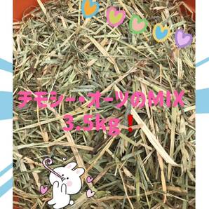 松畜牧草 チモシー・オーツのMIX 3.5kg