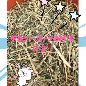 松畜 チモシー・オーツのMIX 1Kg