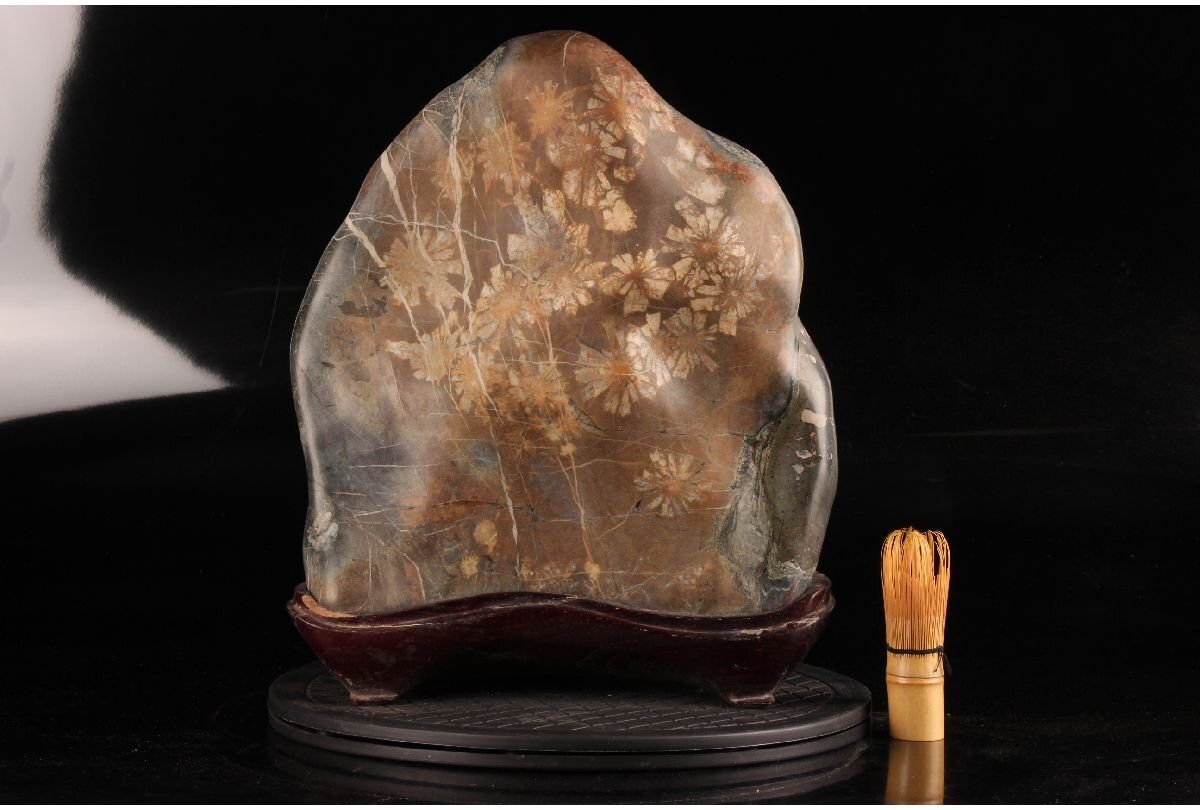 2025年最新】Yahoo!オークション -鑑賞石水石の中古品・新品・未使用品一覧