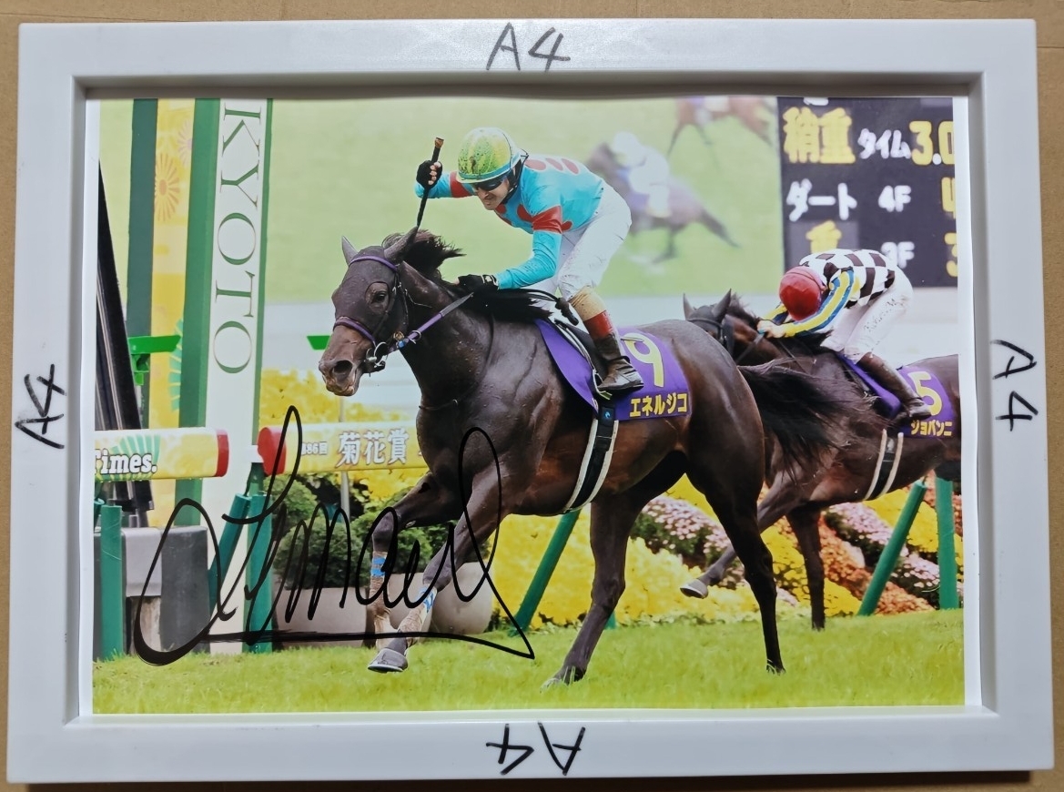 石橋脩 騎手 サインカード 石橋脩 騎手 サインカード - メルカリ