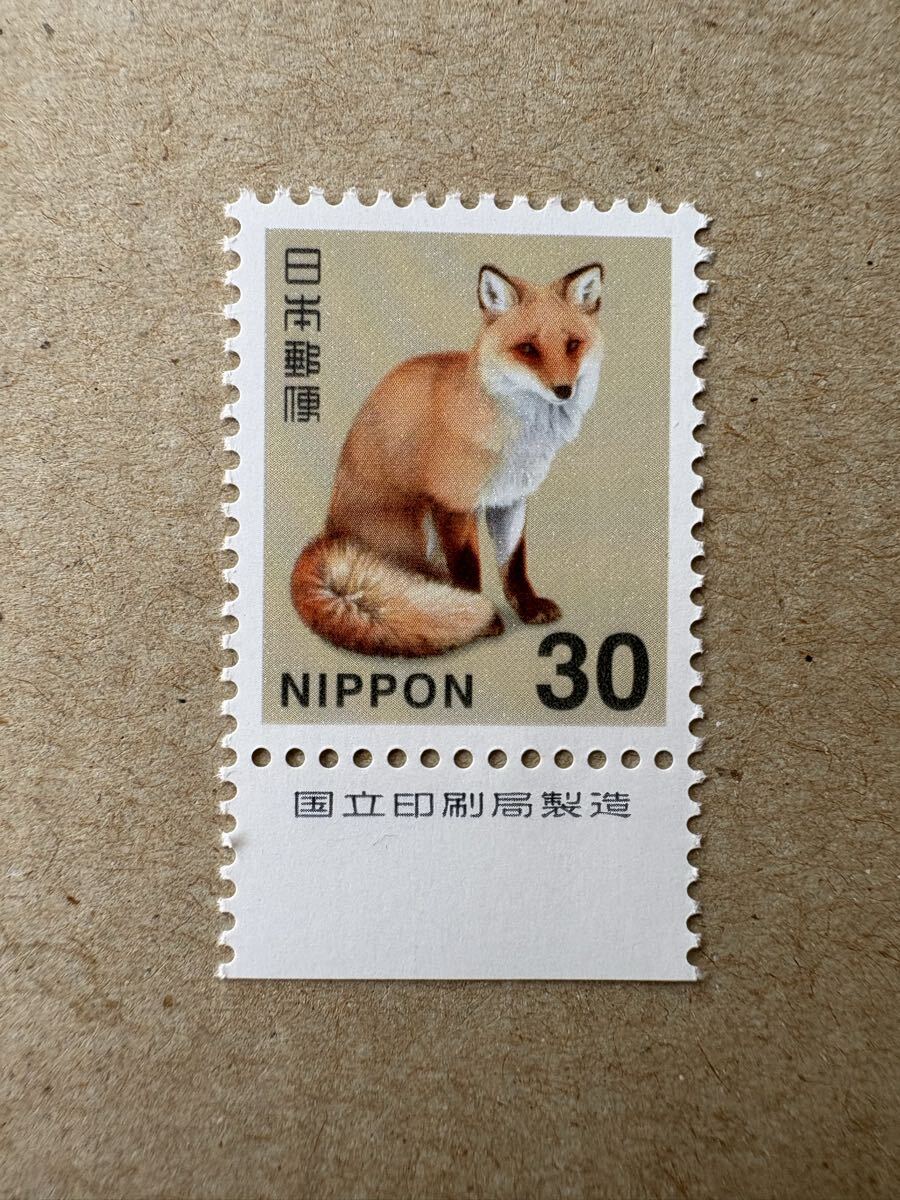 キタキツネ　国立 銘版付