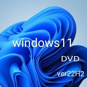 Windows11(22H2)条件回避/アップグレード クリーンインストール 両対応 ディスク (2025102601)