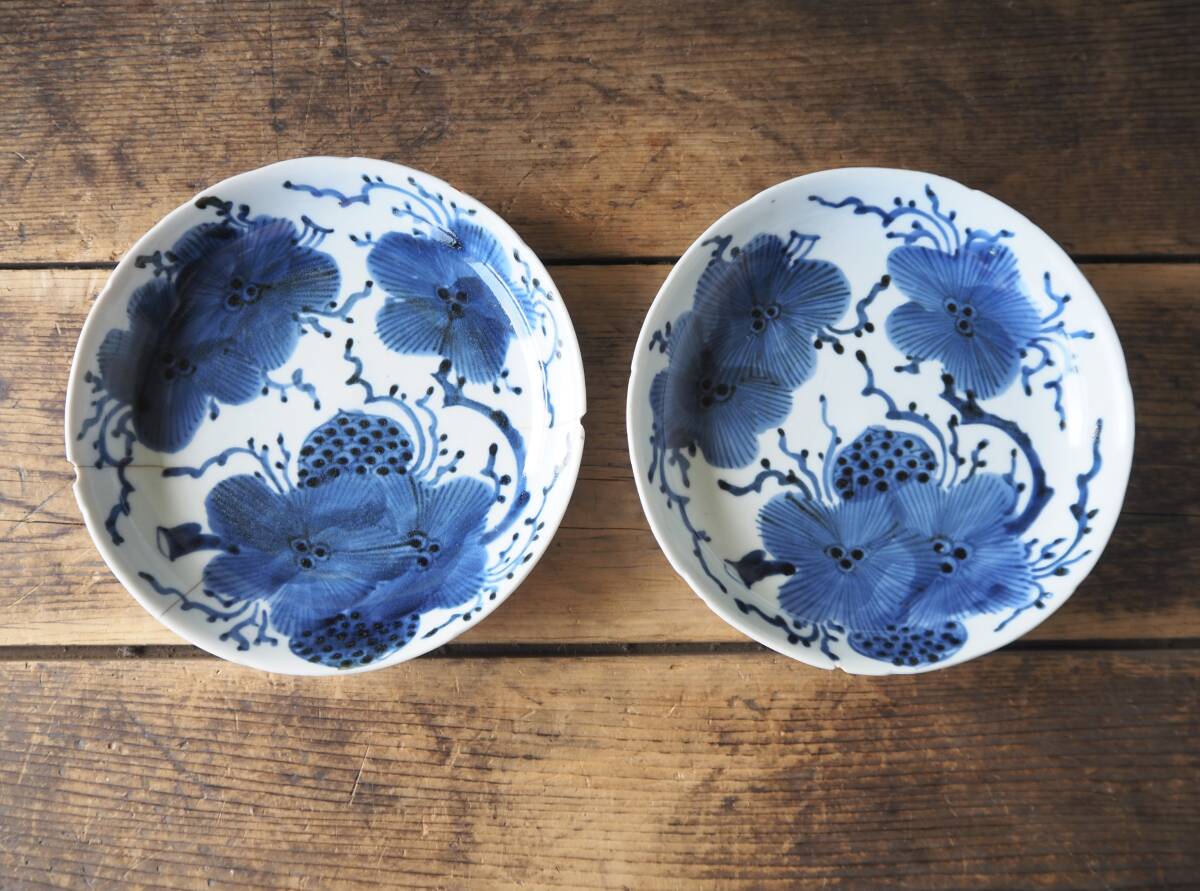 2025年最新】Yahoo!オークション -藍九谷の中古品・新品・未使用品一覧