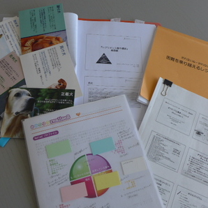 ★即決 送料無料 レジリエンス 研修テキスト 4講座 書籍 厳選良書 全10冊 講師&コーチ&キャリアコンサルタント&心理師など向け