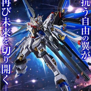 □新品輸送箱未開封 METAL ROBOT魂 ストライクフリーダムガンダム弐式 バンダイ