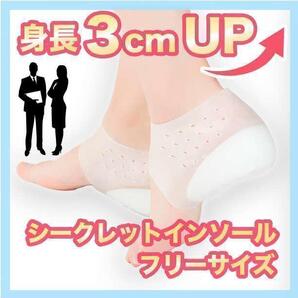 3cm 身長アップ シークレットインソール シリコン 男女兼用 中敷き p