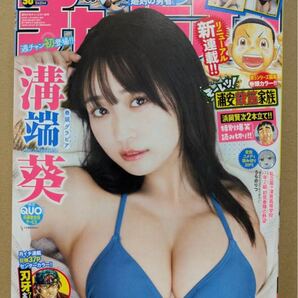 週刊少年チャンピオン 2023年11月27日号 No.50 溝端葵 巻頭グラビア 応募券のみ使用