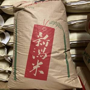 令和7産コシヒカリ精米約18キロ