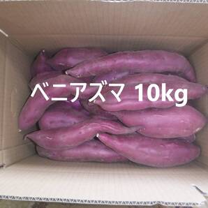 ベニアズマ さつまいも10kg千葉県産農家直送 規格外品(正味11kg以上入れます)No3
