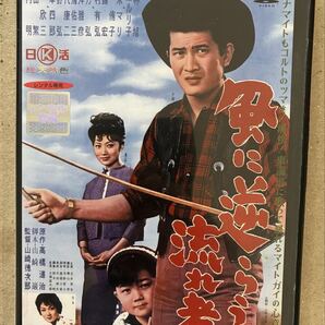 風邪に逆らう流れ者 小林旭 浅丘ルリ子 DVD レンタル落ち 中古品 DVDケースは新品。