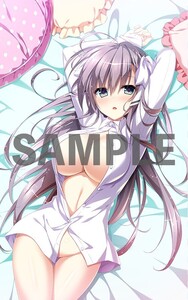 Switch トリノライン ソフマップ特典 B2タペストリー