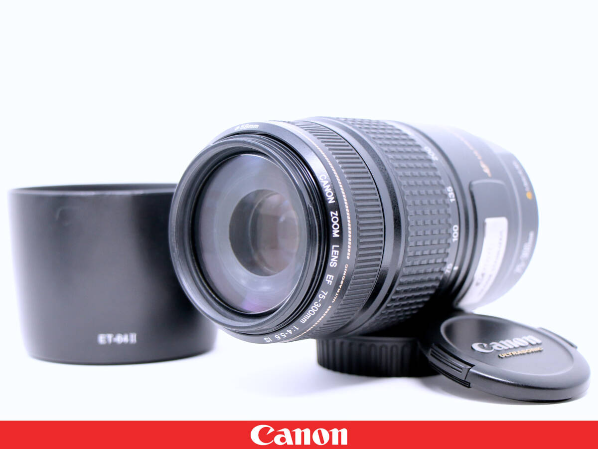 2025年最新】Yahoo!オークション -canon 望遠レンズ 300mmの中古