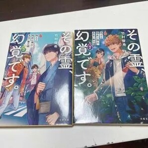 その霊、幻覚です。視える臨床心理士・泉宮一華の嘘 2、3(文春文庫) 竹村 優希