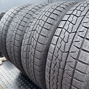 バリ山! 195/50R19 88Q 冬4本 2023年製 ヨコハマ YOKOHAMA iceGUARD iG70 管理番号D69