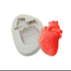 心臓 型 レジン 粘土 石膏 シリコン モールド 人体 ハート 臓器 ミニチュア ハンドメイド ハロウィン パーツ 素材