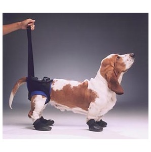 後脚用ハーネス サイズL