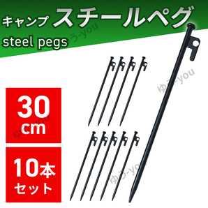 スチールペグ 30cm 10本 セット ペグ キャンプ テント アウトドア タープ フック 設営 BBQ 杭 ロープ スチール