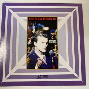 LD ブロウ・モンキーズ - ベスト・ビデオ・コレクション - THE BLOW MONKEYS - CHOICES The Video Collection - BVLP-3