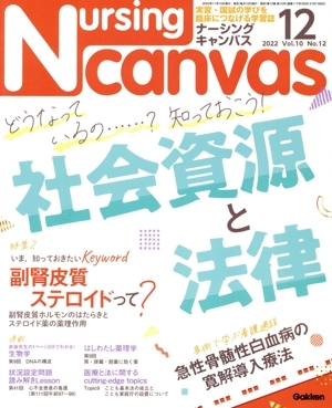 Nursing Canvas(12 2022 Vol.10 No.12) ежемесячный журнал /Gakken