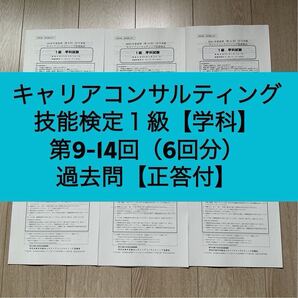 キャリアコンサルティング技能検定1級(学科)第9-14回 6回分(正答付)