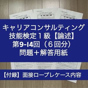 キャリアコンサルティング技能検定1級実技(論述)問題+解答用紙(第9-14回)