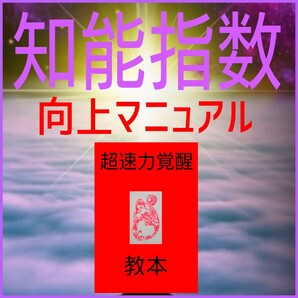 【脳科学覚醒マニュアル】瞬間的な超速処理能力と膨大な記憶力を実現!☆短期間脳内超覚醒法☆知能指数☆記憶力☆受験☆試験★資格☆