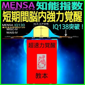 【脳科学覚醒マニュアル】瞬間的な超速処理能力と膨大な記憶力を実現!★短期間脳内超覚醒法☆知能指数☆記憶力☆受験☆試験☆資格☆