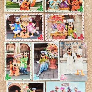 TDR ディズニー スペシャルフォト