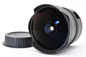 【動作品・光学良好】Canon FISHEYE LENS EF 15mm 2.8 No.919