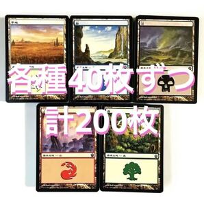 MTG 日本語 基本土地 基本地形 各種40枚 計200枚 リミテッド用 大量④