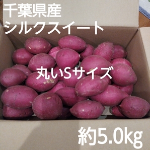 51 千葉県産 シルクスイート さつまいも サツマイモ 丸いSサイズ 約5.0㎏