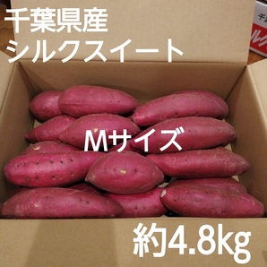 68 千葉県産 シルクスイート さつまいも サツマイモ Mサイズ 約4.8㎏