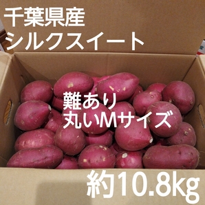 71 千葉県産 シルクスイート さつまいも サツマイモ 丸いMサイズ 約10.8㎏