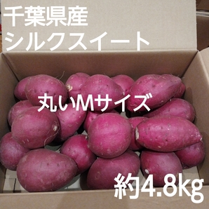 22 千葉県産 シルクスイート さつまいも サツマイモ 丸いMサイズ 約4.8㎏