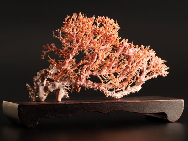 2025年最新】Yahoo!オークション -珊瑚 置物(アンティーク