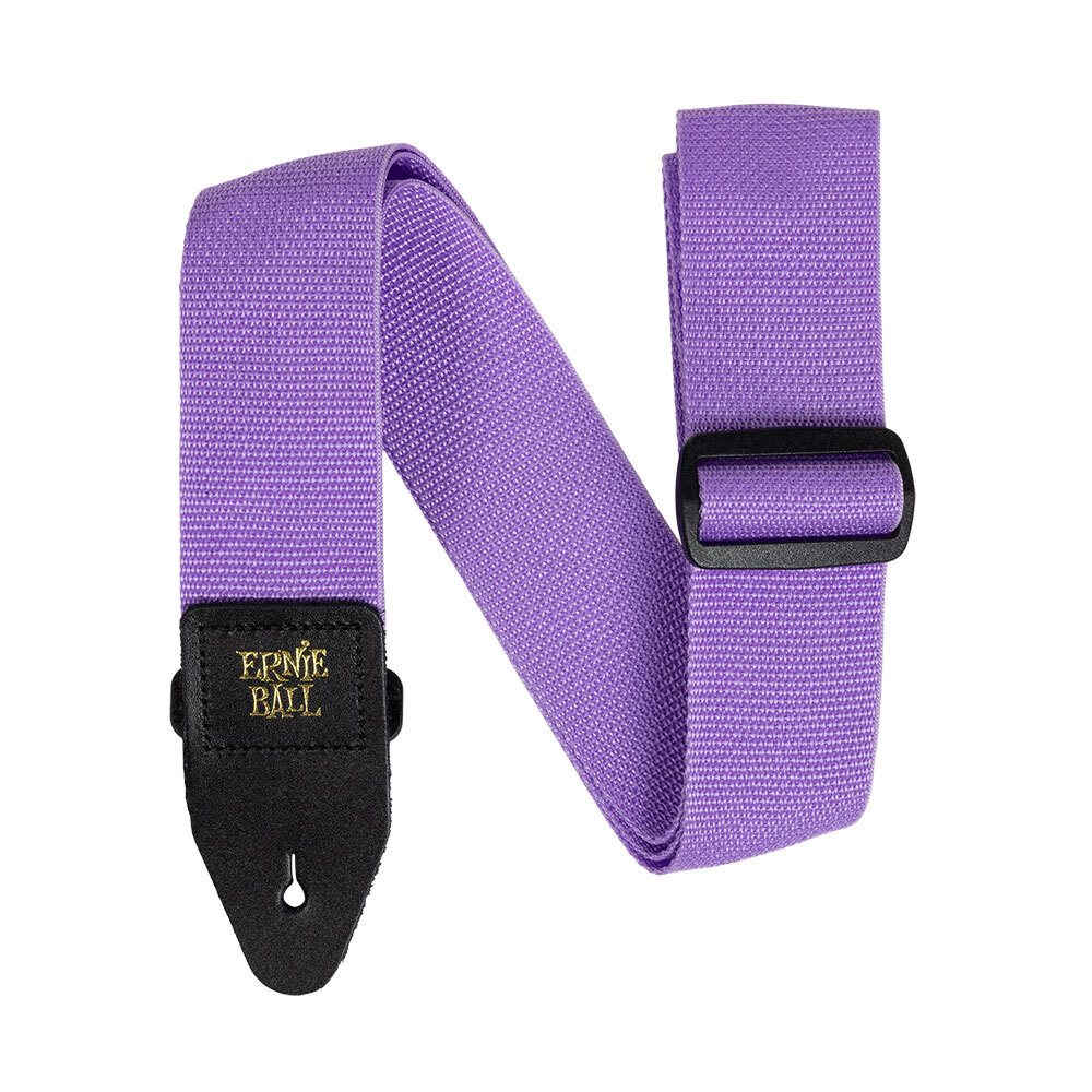 ERNIE BALL Polypro Straps 5378 GT/BS Purple Sunset гитара ремешок 