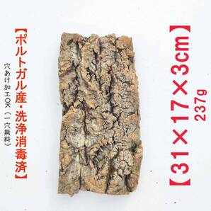 c772 お買得品 ポルトガル産 厚め コルク樹皮 コルク板 バージンコルク 送料無料 チランジア ビカクシダ 着生ラン 両生類 爬虫類