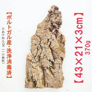 c770 お買得品 ポルトガル産 厚め コルク樹皮 コルク板 バージンコルク 送料無料 チランジア ビカクシダ 着生ラン 両生類 爬虫類