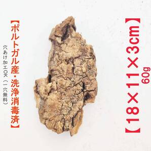 c778 お買得品 ポルトガル産 厚め コルク樹皮 コルク板 バージンコルク 送料無料 チランジア ビカクシダ 着生ラン 両生類 爬虫類