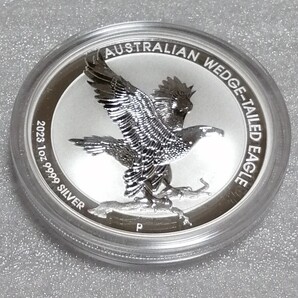 オーストラリア 2023 ウェッジ テール イーグル 銀貨