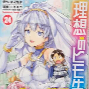 最新刊 理想のヒモ生活 24巻 (角川コミックス・エース) 渡辺恒彦/原作 日月ネコ/漫画 文倉十 初版帯付 中古品 送料無料